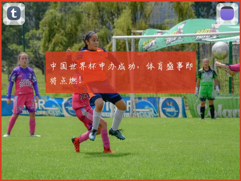 中国世界杯申办成功，体育盛事即将点燃！