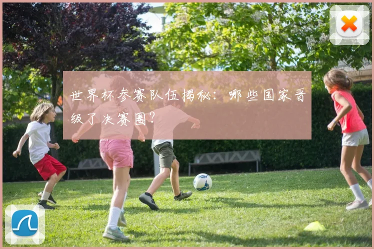 世界杯参赛队伍揭秘：哪些国家晋级了决赛圈？