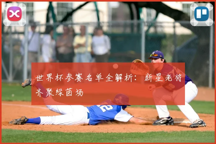 世界杯参赛名单全解析：新星老将齐聚绿茵场
